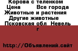 Корова с теленком › Цена ­ 69 - Все города Животные и растения » Другие животные   . Псковская обл.,Невель г.